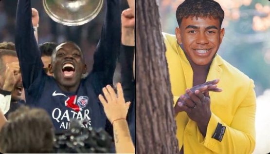 语言体系 语言体系